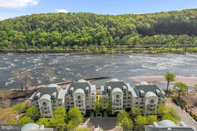 birds eye view of property with a water view and a view of trees
