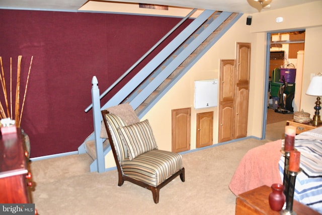 bedroom featuring carpet