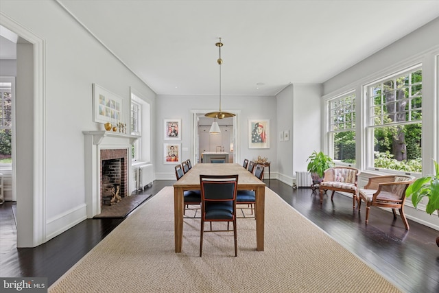 dining room with dark wood-style flooring, baseboards, and radiator heating unit
