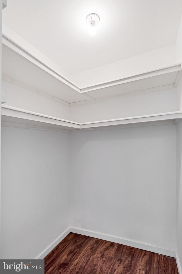 spacious closet featuring dark wood-style flooring