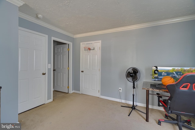 2417 Buck Hill Rd, Gerrardstown, WV 25420 - carpeted office with baseboards, ornamental molding, and a textured ceiling