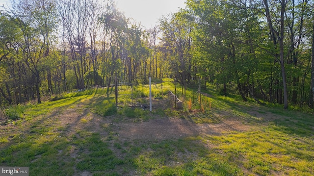 2417 Buck Hill Rd, Gerrardstown, WV 25420 - view of yard with a forest view