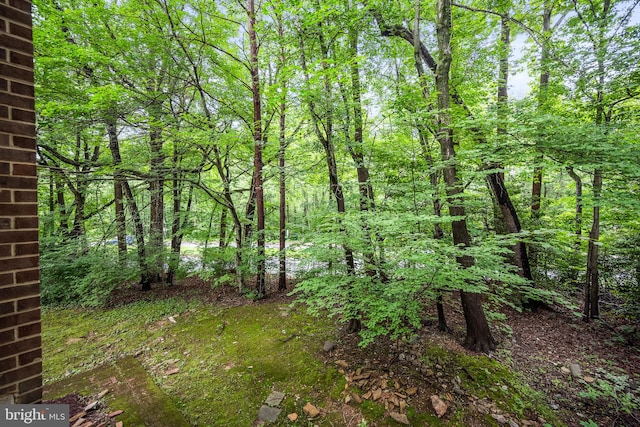 1423 Northgate Sq Unit 1423-11C, Reston, VA 20190 - view of yard featuring a forest view