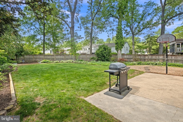 view of yard with a fenced backyard and a patio area