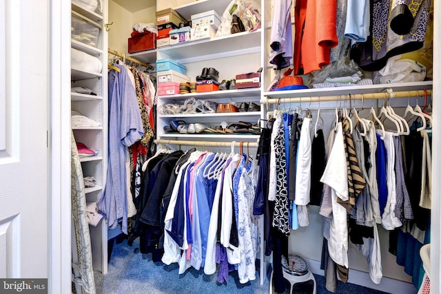 view of spacious closet