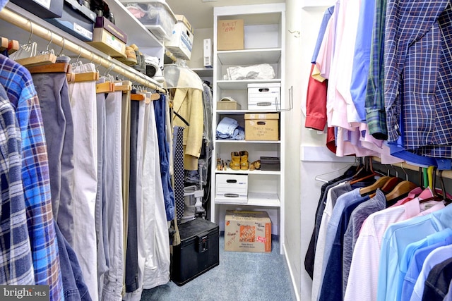 spacious closet with carpet flooring