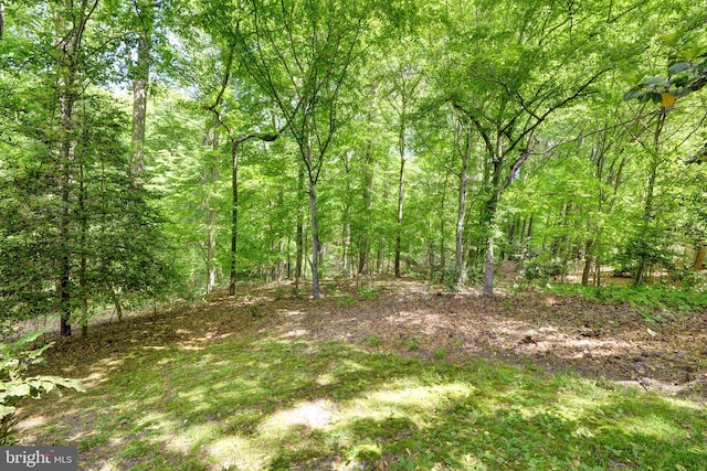 view of local wilderness with a forest view