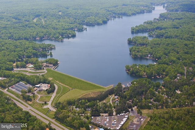 drone / aerial view with a water view and a view of trees
