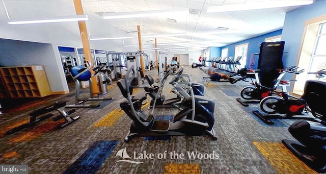 workout area with plenty of natural light and carpet