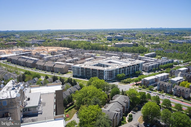 bird's eye view