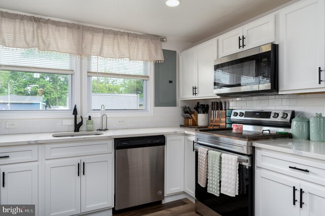 kitchen with a sink, a healthy amount of sunlight, electric panel, and stainless steel appliances