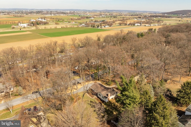 bird's eye view