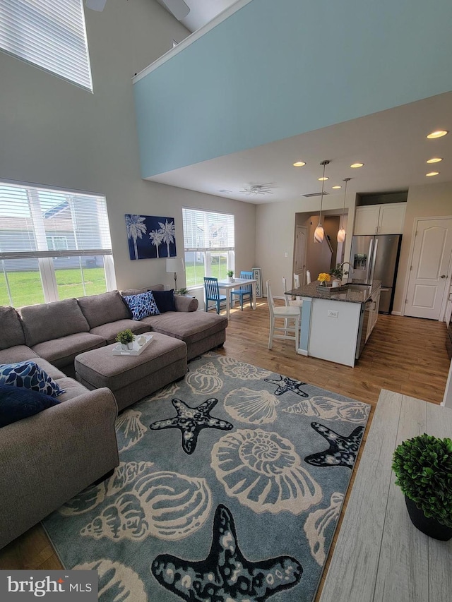 living area featuring recessed lighting and wood finished floors