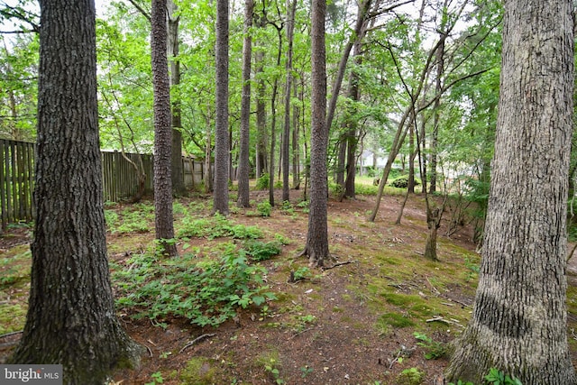3505 Fox Ridge Rd, Waldorf, MD 20601 - view of undeveloped land