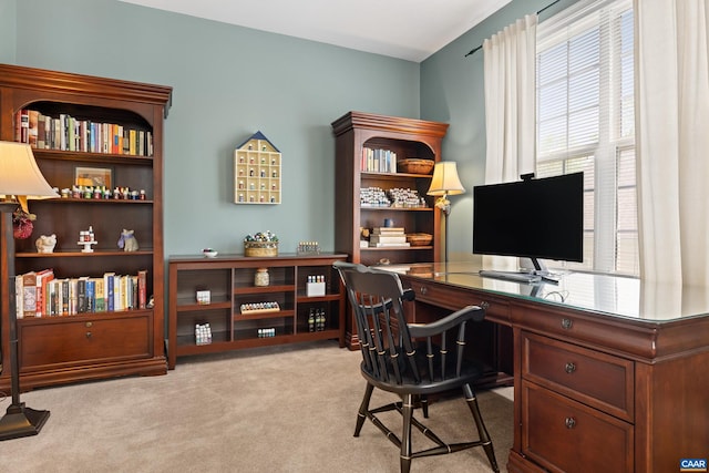 office with carpet