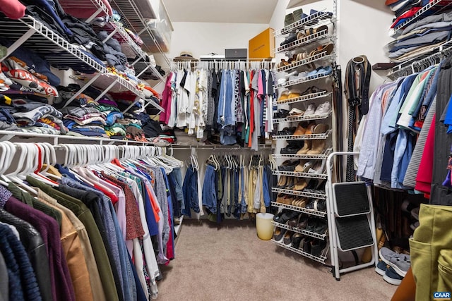 walk in closet with carpet floors