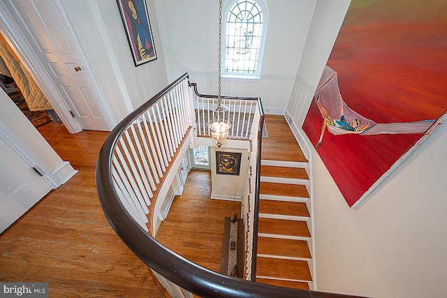 701 Argyle Rd, Wynnewood, PA 19096 - stairs featuring plenty of natural light, wood finished floors, and a chandelier