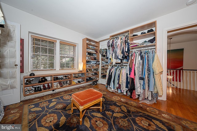 701 Argyle Rd, Wynnewood, PA 19096 - walk in closet featuring wood finished floors