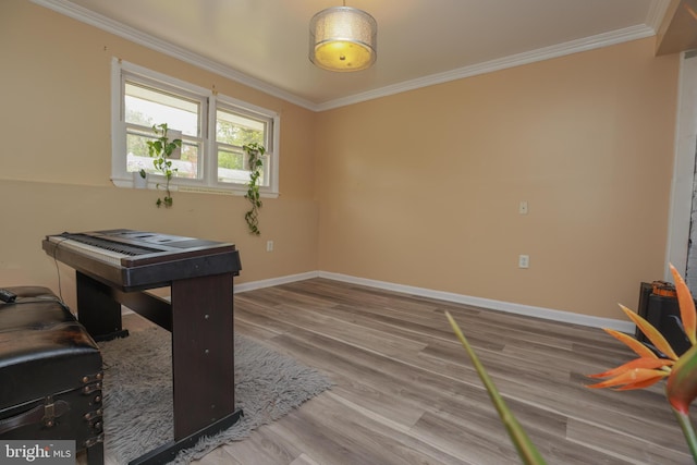 office with baseboards, ornamental molding, and wood finished floors