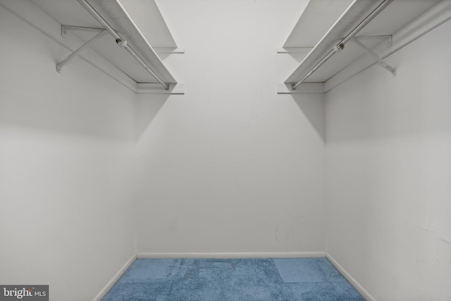 spacious closet with carpet