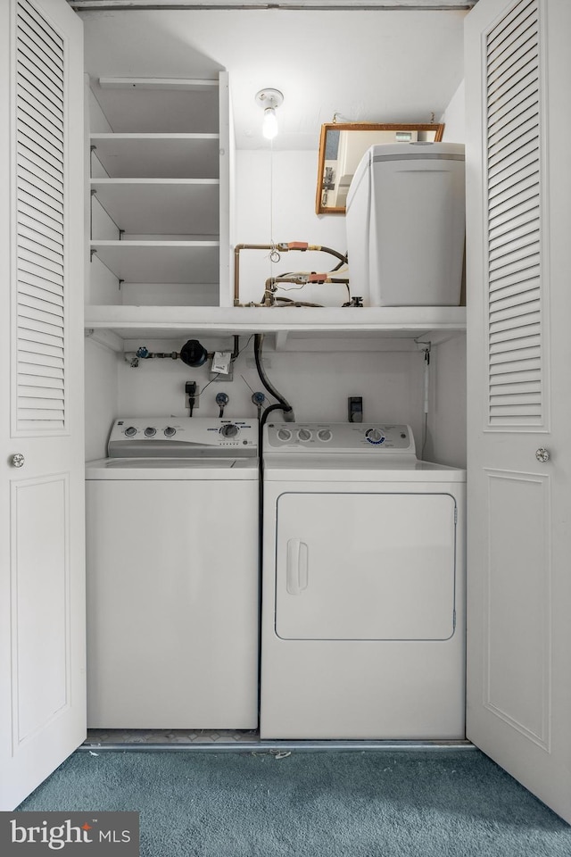 washroom with carpet, separate washer and dryer, and laundry area