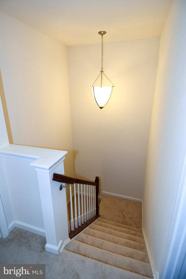 1037 Agricopia Dr, La Plata, MD 20646 - stairs featuring carpet floors and baseboards
