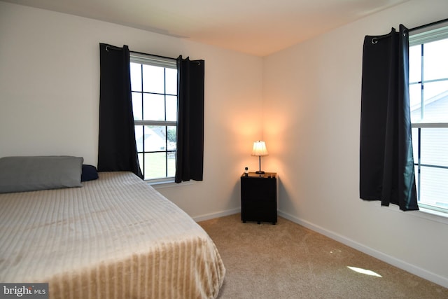 1037 Agricopia Dr, La Plata, MD 20646 - bedroom with multiple windows, carpet, and baseboards