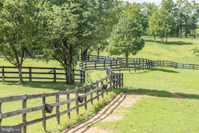537 Cannon Ball Rd, Berryville, VA 22611 - view of yard with a view of rural / pastoral area