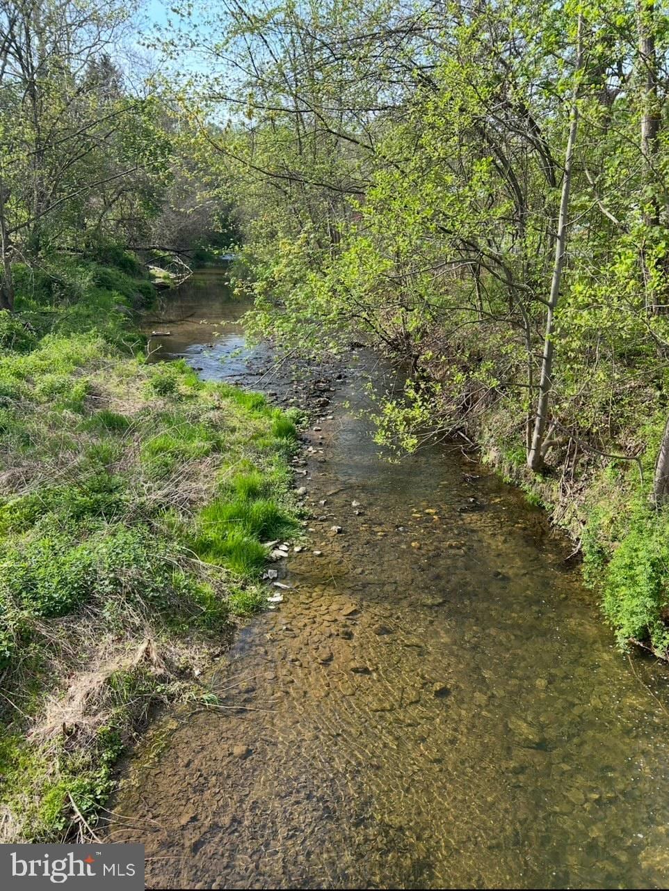 view of nature