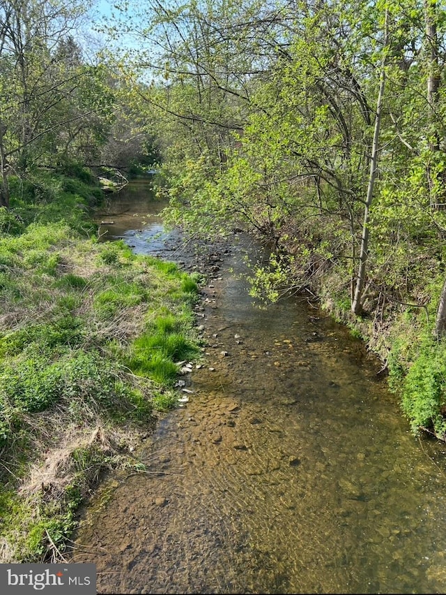 view of nature