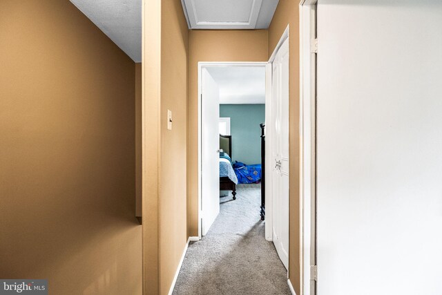 hallway with carpet floors and baseboards