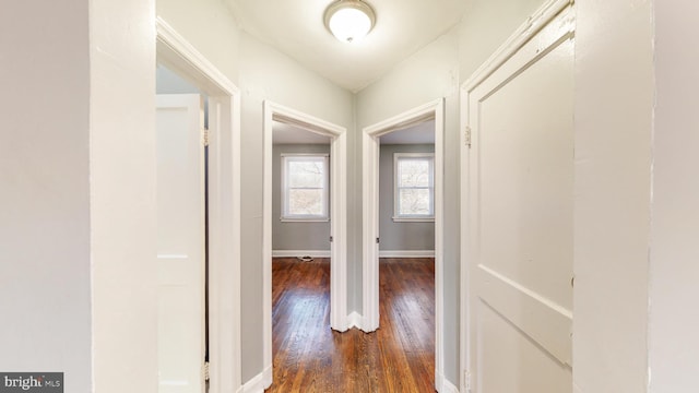 hallway featuring baseboards and wood finished floors