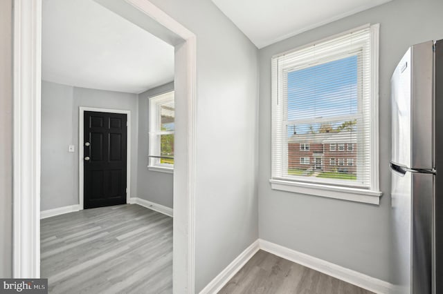 entrance foyer with baseboards, wood finished floors, and a healthy amount of sunlight