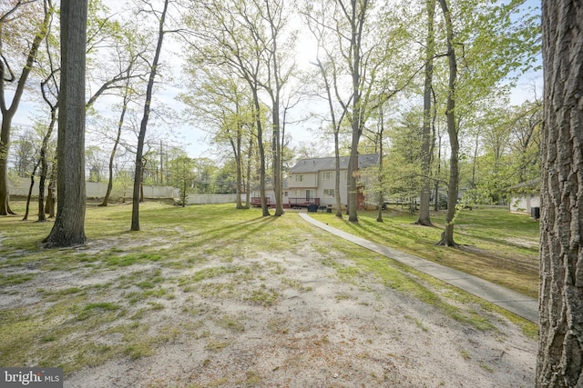 view of yard