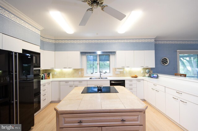 2210 Horns Point Rd, Cambridge, MD 21613 - kitchen featuring black appliances, a ceiling fan, light wood finished floors, a sink, and backsplash