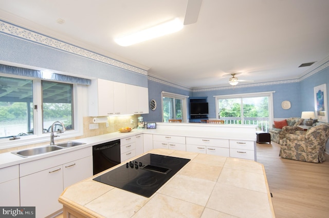2210 Horns Point Rd, Cambridge, MD 21613 - kitchen with black appliances, a sink, open floor plan, a ceiling fan, and light wood-style flooring