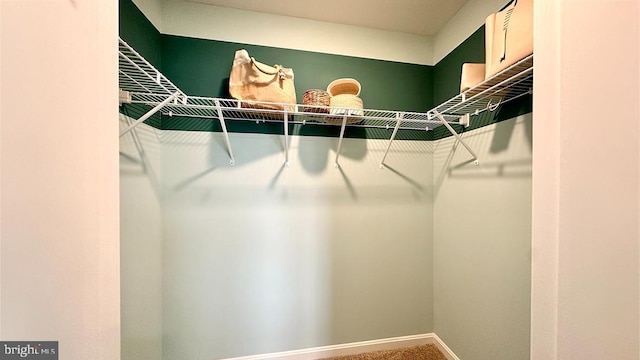 walk in closet with carpet