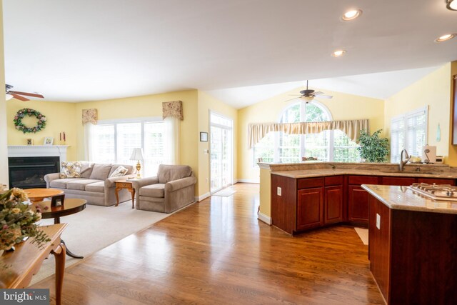 kitchen with a ceiling fan, a glass covered fireplace, wood finished floors, and dark brown cabinets