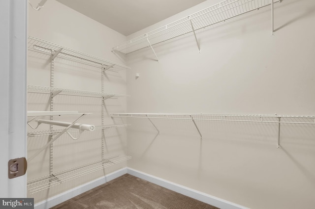 6206 Payton Way, Frederick, MD 21703 - spacious closet with carpet floors