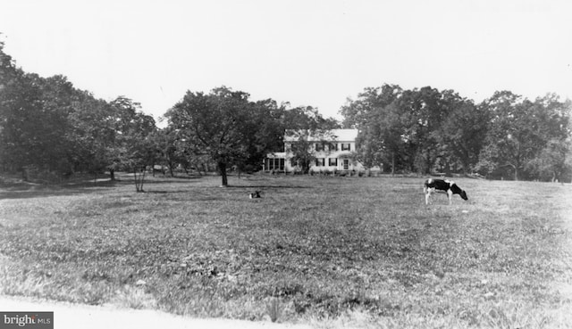 view of community