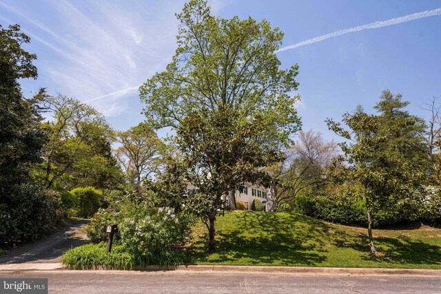 exterior space featuring a lawn