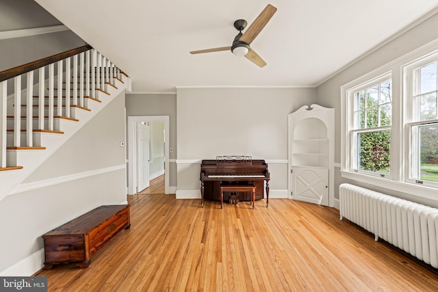 living area with stairs, ceiling fan, radiator, and light wood-type flooring
