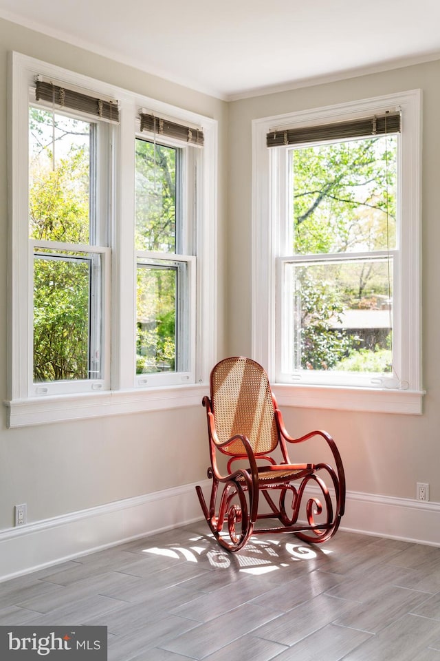 living area featuring baseboards, wood finished floors, and a wealth of natural light