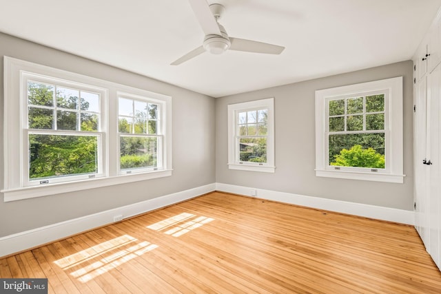 spare room featuring baseboards, ceiling fan, and light wood-type flooring