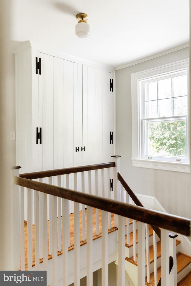 view of stairway