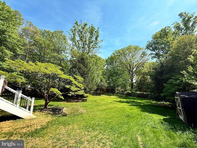 9905 Stoughton Rd, Fairfax, VA 22032 - view of yard