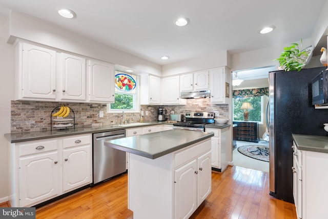 3635 Wessex Ln, Huntingtown, MD 20639 - kitchen with appliances with stainless steel finishes, under cabinet range hood, a sink, light wood-style floors, and recessed lighting