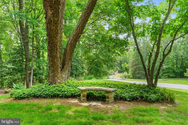 3635 Wessex Ln, Huntingtown, MD 20639 - view of community
