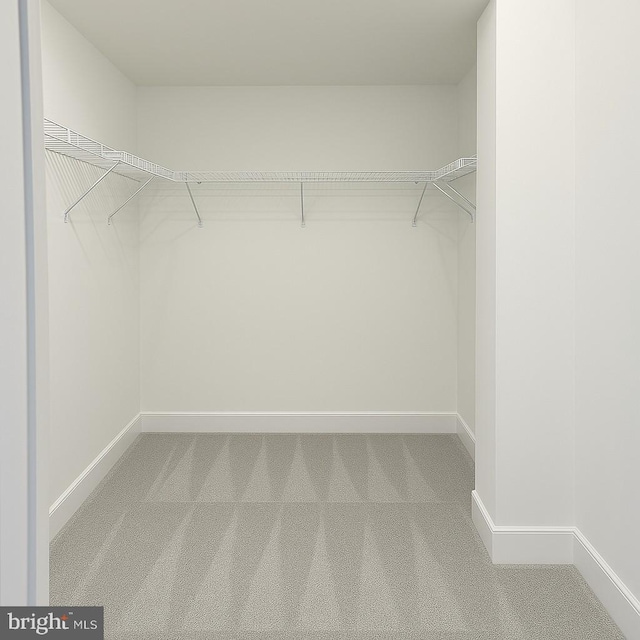 walk in closet with carpet