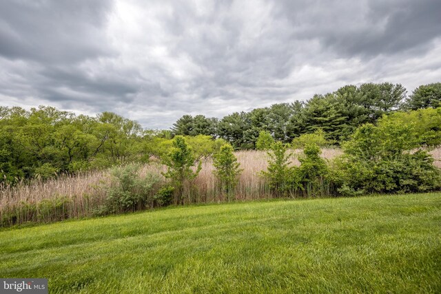 904 Martell Ct Unit 904-E, Bel Air, MD 21014 - view of yard with a view of trees